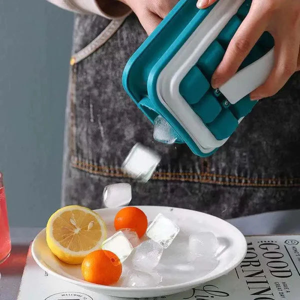 Ice Cube Bottle Tray
