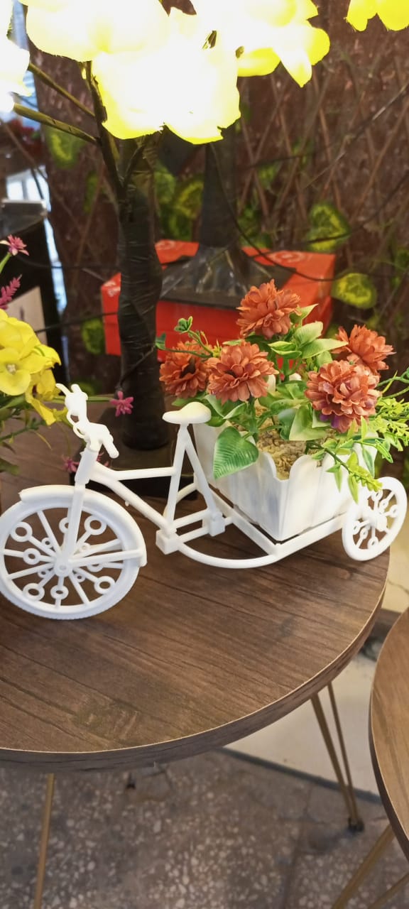 Table Cycle Stand Pot with Flower Arrangements