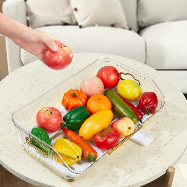 Acrylic Dish Drying Rack