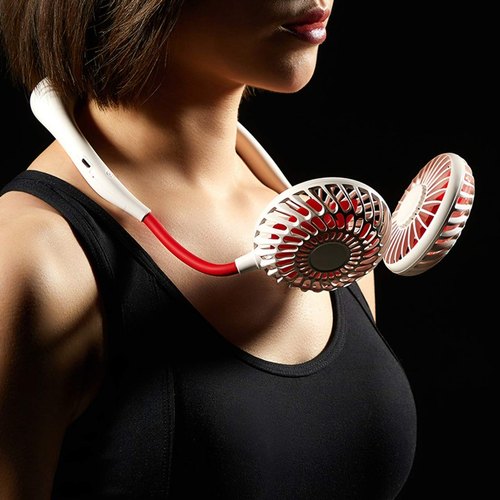 Imported Quality Neck Fan