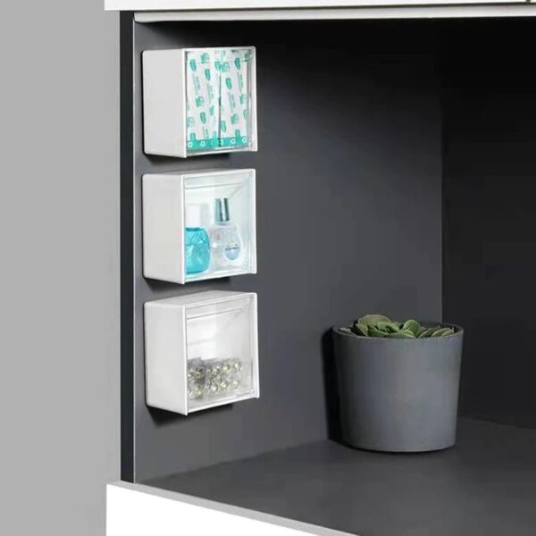 Multifunctional Transparent Wall Shelf