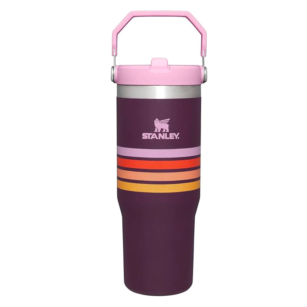 The IceFlow™ Flip Straw Tumbler | 30 OZ - Plum Stripe