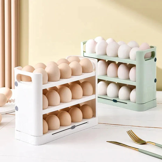 Egg Tray With Record Accurate Storage Time