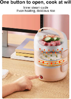 2 Step Electric Lunch Box