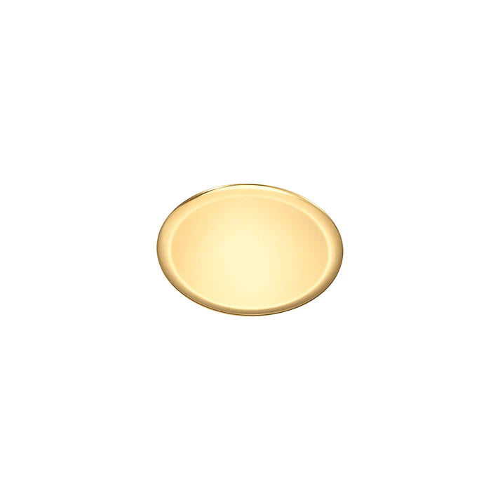 Luxurious SS Round Plate Gold 20 cm