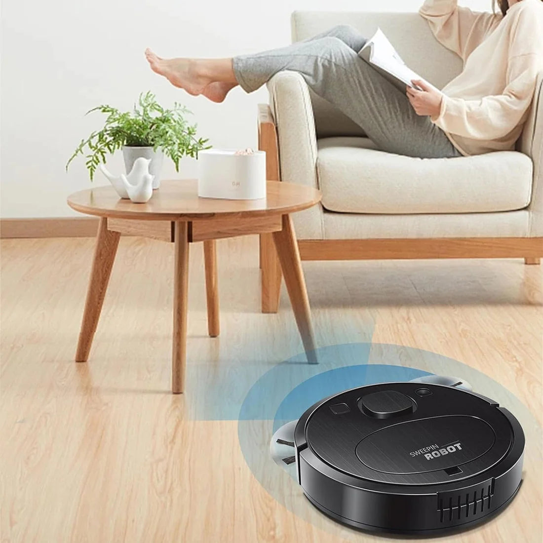 Sweeping And Vacuum Robot