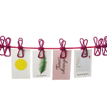 Portable Clothesline With 12 Clip