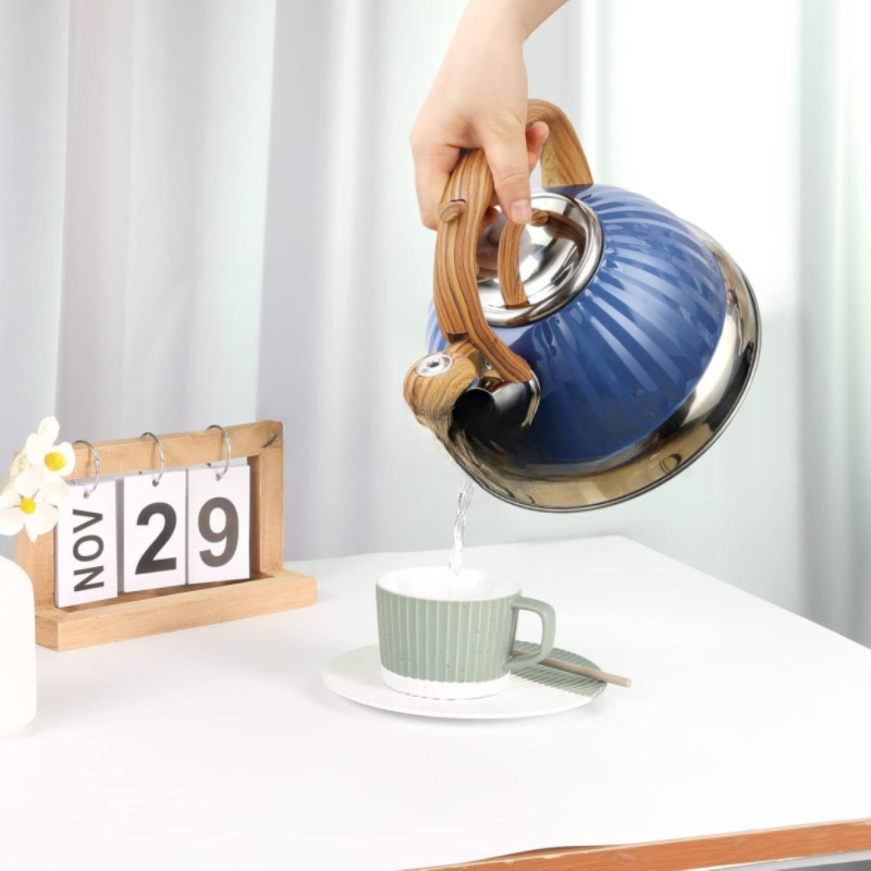 Stainless Steel Whistling Tea Kettle – Classic & Durable Design