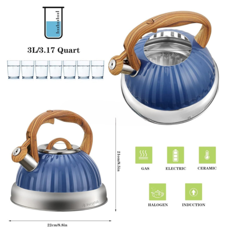 Stainless Steel Whistling Tea Kettle – Classic & Durable Design