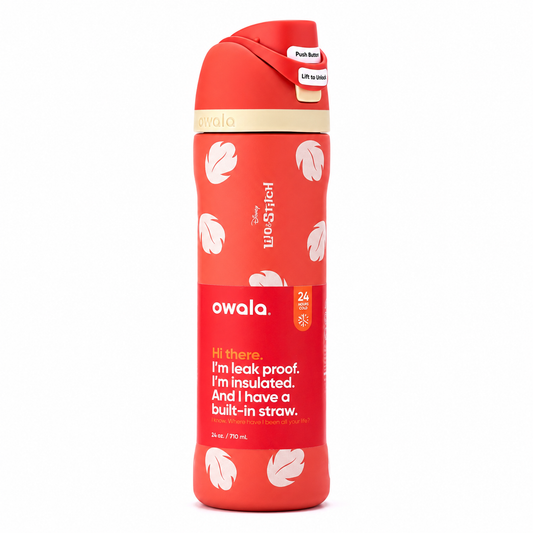 Owala FreeSip 24oz Insulated Bottle - Disney