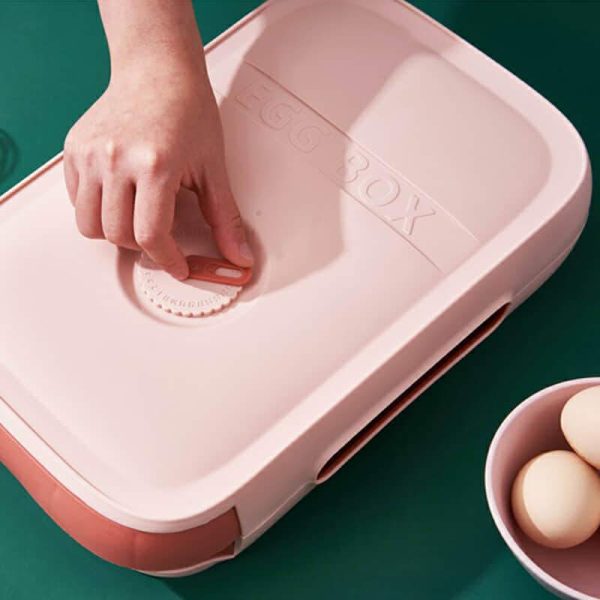 New Drawer Type Egg Storage Box with Lid